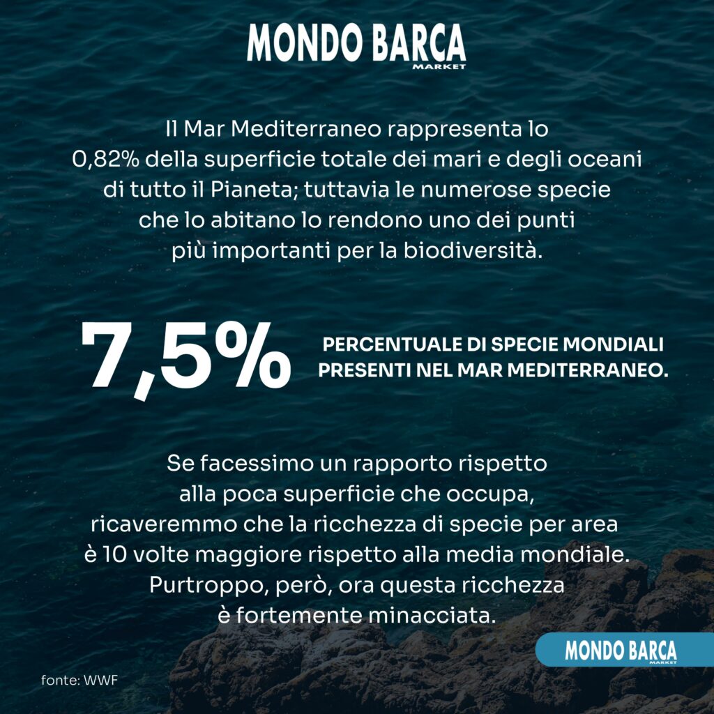 carosello linkedin-pagine-immagini-1