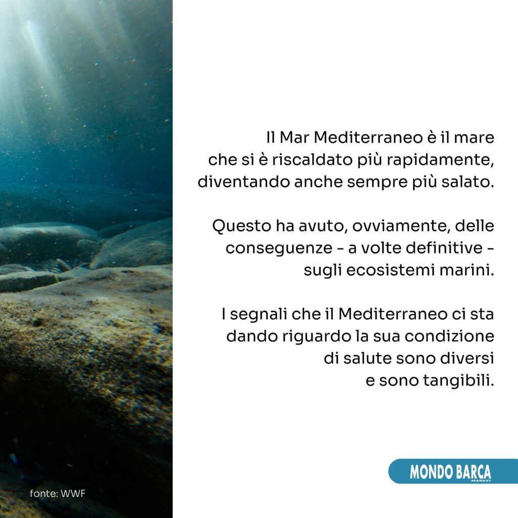 carosello linkedin-pagine-immagini-3