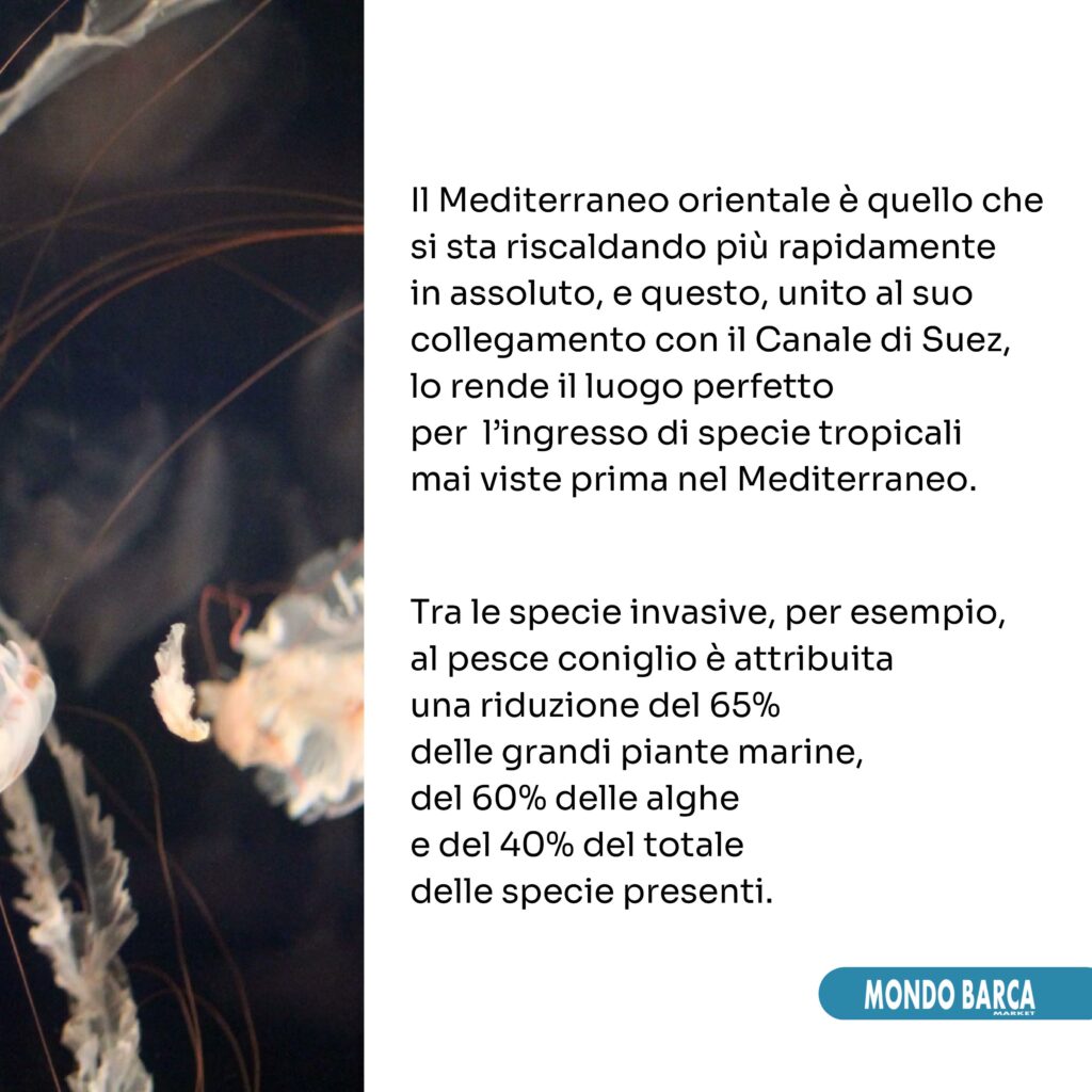 carosello linkedin-pagine-immagini-5