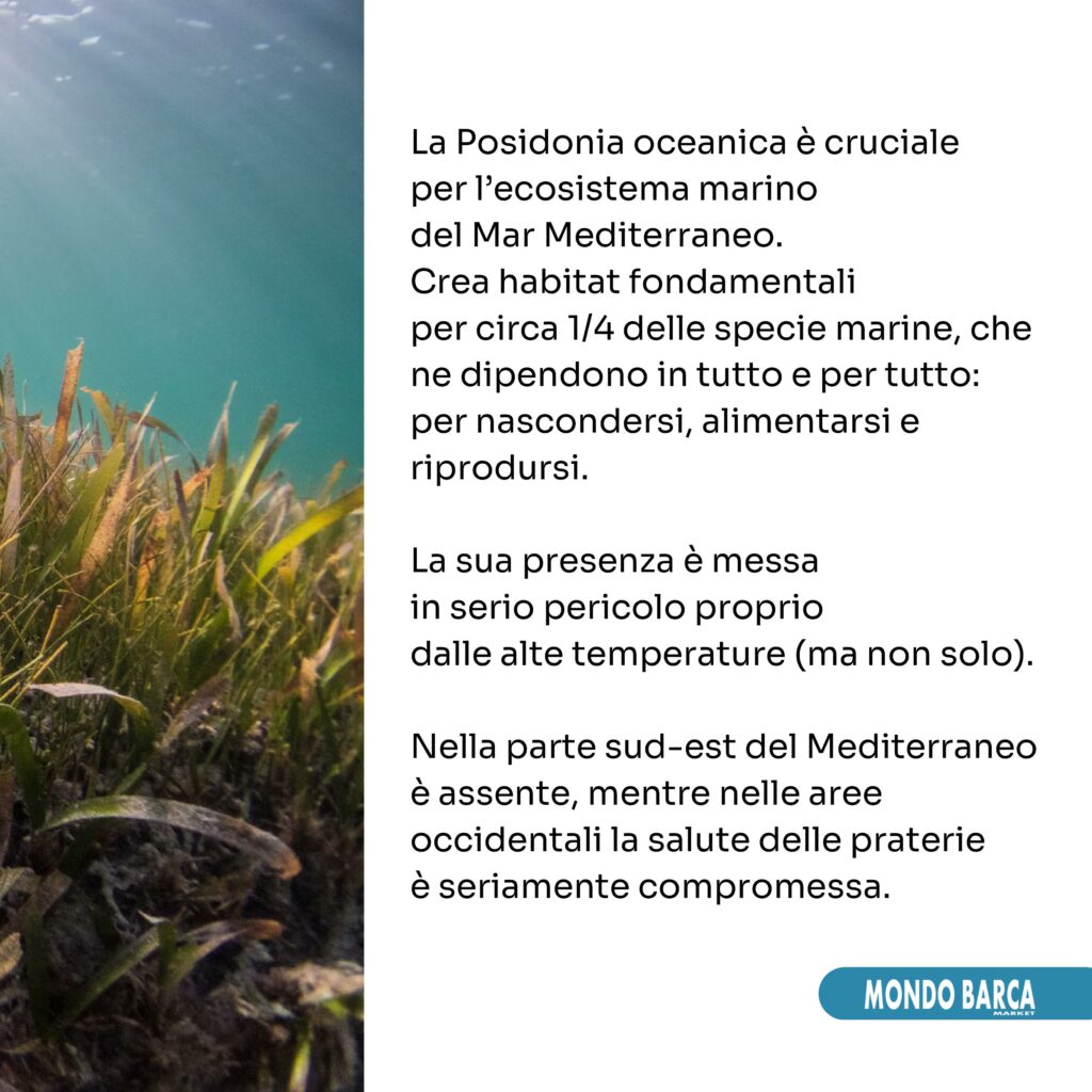 carosello linkedin-pagine-immagini-7